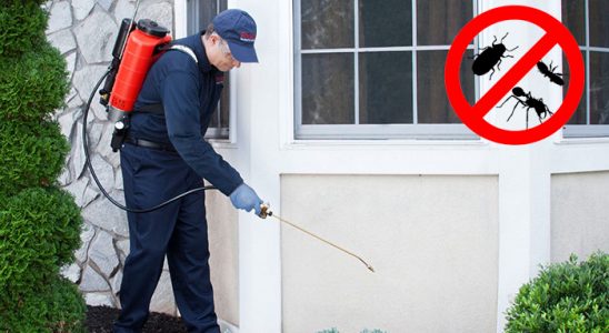 Sarayköy Karınca İlaçlama böcek ilaçlama ve haşere kontrolü — ilaclama-tr.com